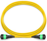 MTP Plenum Trunk Cables 349.png